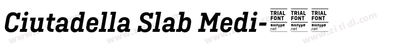 Ciutadella Slab Medi字体转换